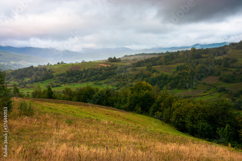 rural landscape in mountain on a cloudy morning. dramatic hazy scenery of carpathian countryside © Pellinni