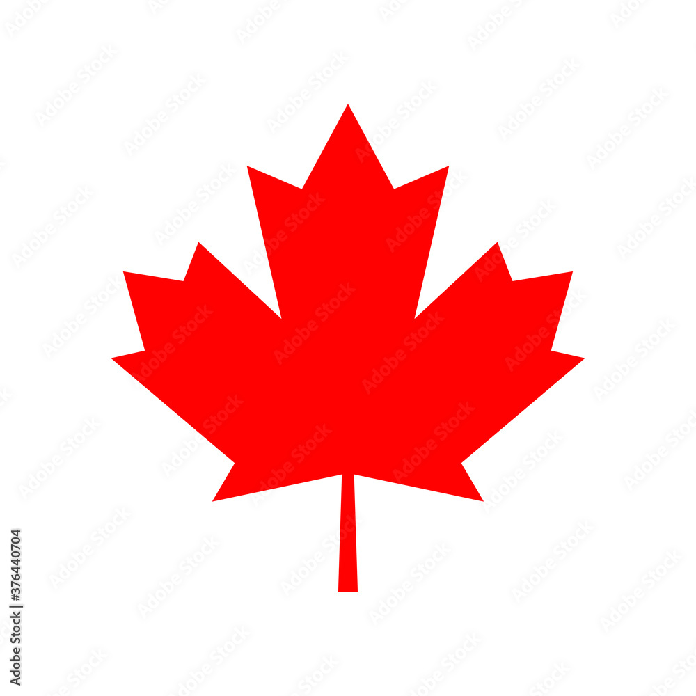 Maple leaf vector icon. Maple leaf vector illustration. Canada vector