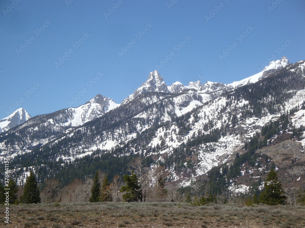 Fototapeta premium Grand Tetons