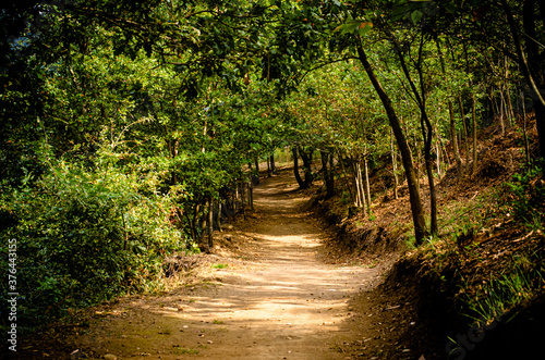 caminhos