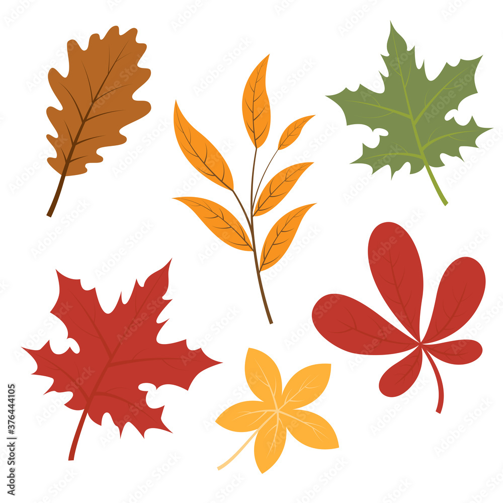 Set of autumn fall leaves, cartoon vector illustration