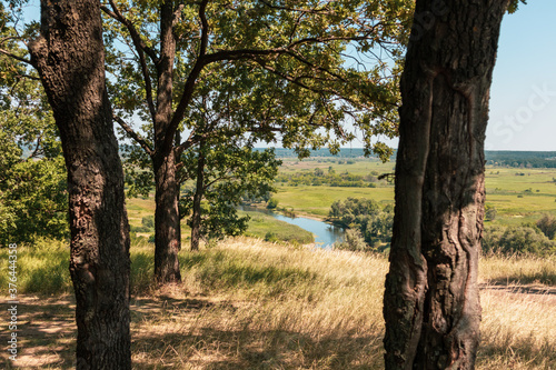 Summer warm colors view on river valley in distance from hill through green trees and dry grass. Zmiyevsky cliffs on Siverskyi Donets River in Ukraine