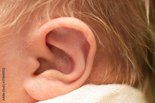 body hair of a newborn baby. Fluff. ear close up. 