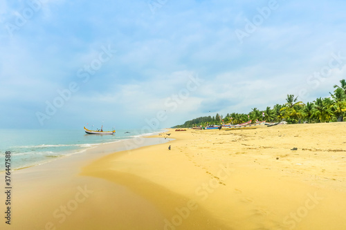 Golden sands, palm trees and ubiquitous house crows on popular Marari Beach, Mararikulam, Alappuzha (Alleppey, Kerala, India, Asia