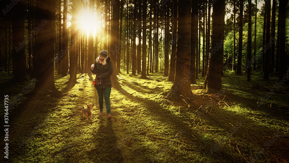 Obraz premium Woman and her dog walking on a track in the forest. Hiking, dog school and outdoor activity concept.