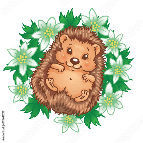 Cartoon hedgehog lying on his back in the spring flowers. (ID: 376448791)