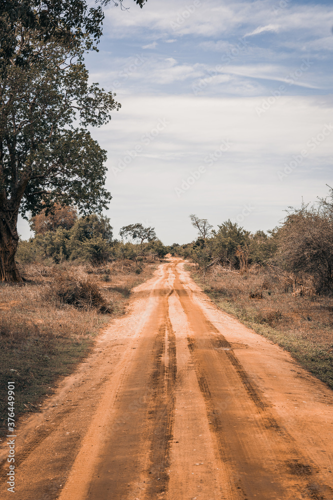 Fototapeta premium Safari Sri Lanka