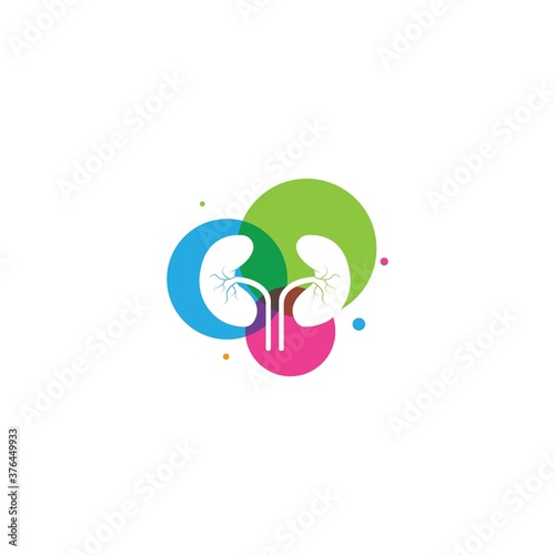 Colorful Kidney Logo Design Concept.