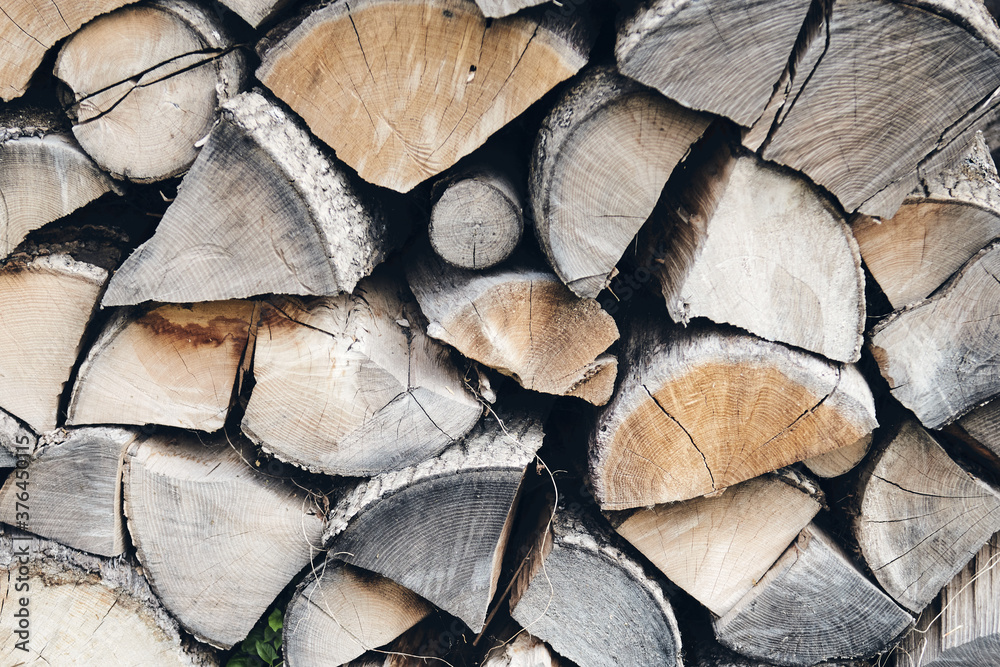 Fototapeta premium Logs in a sawmill yard. Stacks of woodpile firewood texture background