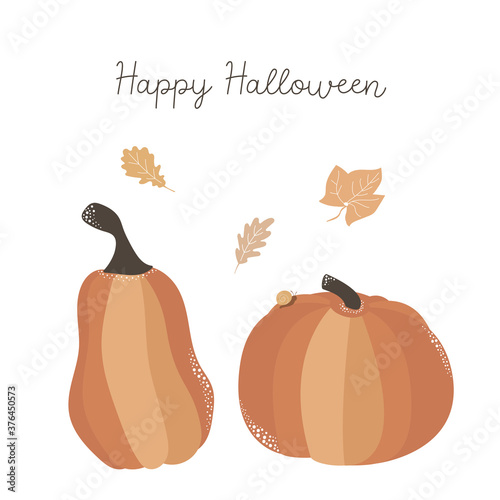 beautiful pumpkins halloween