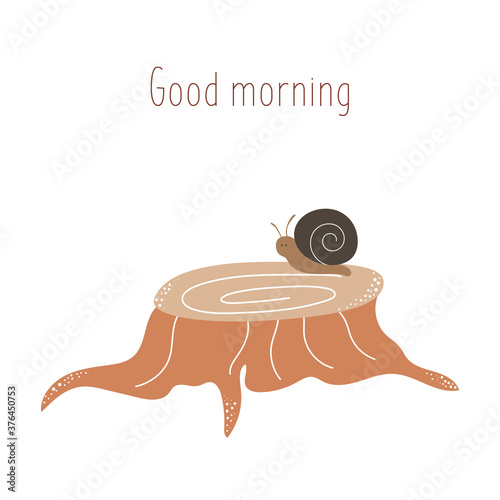 snail on a tree stump