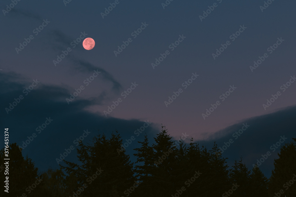 Mond mit blauer Stunde