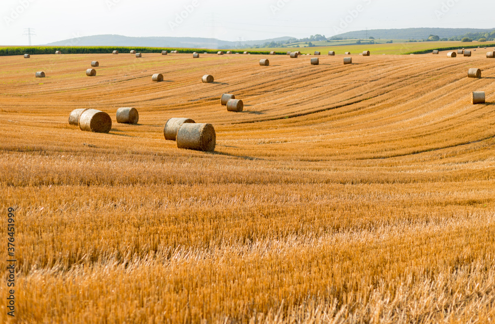 Haystacks in autumn field. Wheat yellow golden harvest in summer. Countryside natural landscape. Hay bale Haystacks in autumn field. Wheat yellow golden harvest in summer. Countryside natural landscape. Hay bale