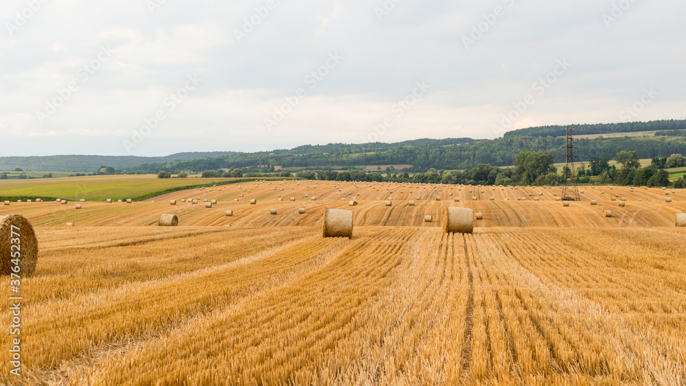 Haystacks in autumn field. Wheat yellow golden harvest in summer. Countryside natural landscape. Hay bale