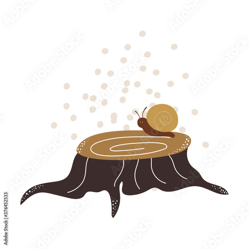snail on a tree stump