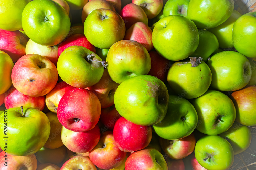 Crop of apples. Green and red apples. Bright background of apples. Fruit harvesting. Fruit in the shop window. Agricultural business. Crop of apples. Green and red apples. Bright background of apples. Fruit harvesting. Fruit in the shop window. Agricultural business.