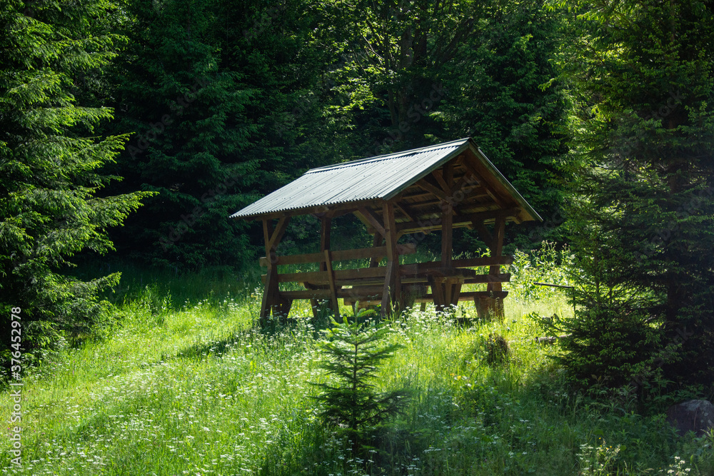 rain shelter in the forest In Romania,Bistrita