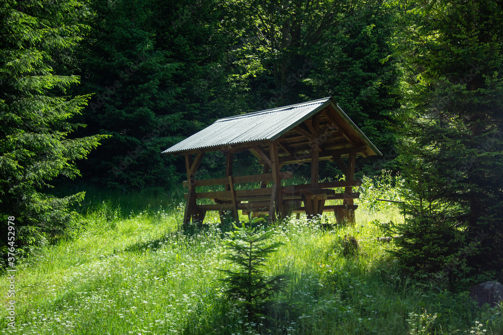 rain shelter in the forest In Romania,Bistrita rain shelter in the forest In Romania,Bistrita