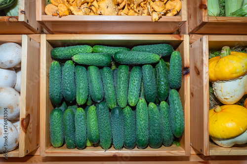 Fresh vegetables in boxes. ...