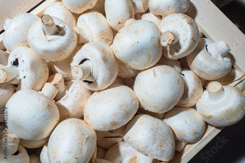 Champignons in a wooden box...