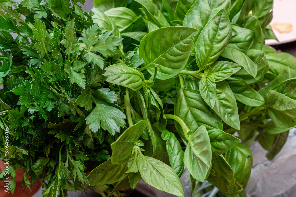 Greens, basil, parsley, onion close-up on the table Greens, basil, parsley, onion close-up on the table