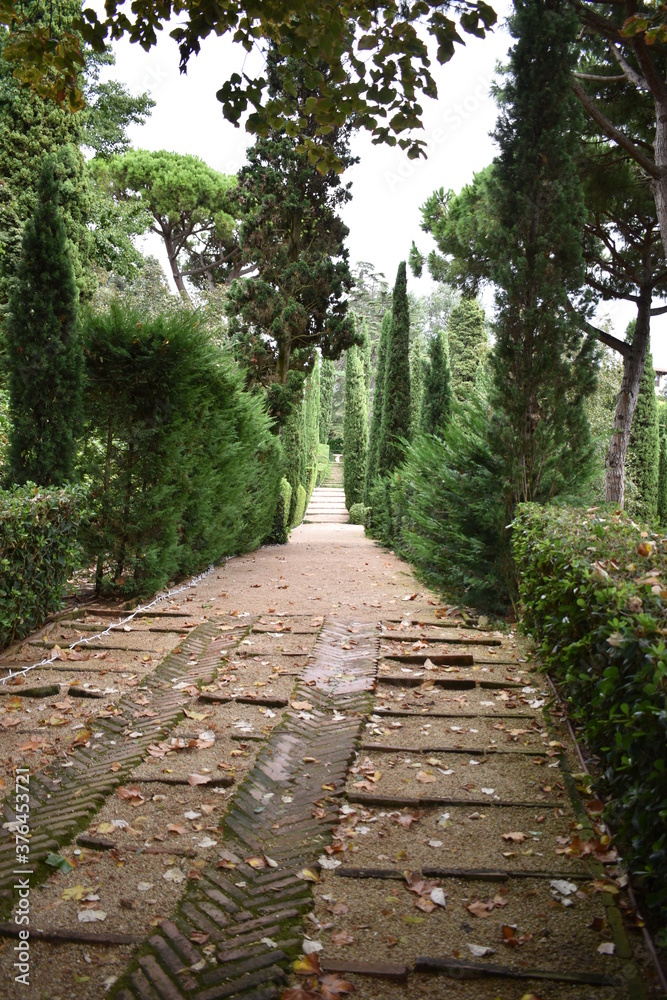 Obraz premium camino en jardín con escalones y cielo blanco.