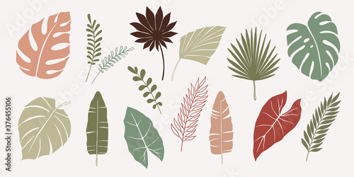 Vector hand drawn set of various silhouette branches with abstract tropical leaves. botanical element collection with Earth tone color. Design for natural and floral background pattern, bouquet
