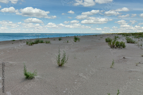 Wild beach landscape near Prymorske, Ukraine. photo