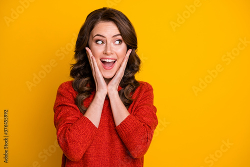 Portrait of astonished rejoice girl touch face hand look copyspace scream impressed incredible bargain novelty wear jumper isolated over shine color background © deagreez