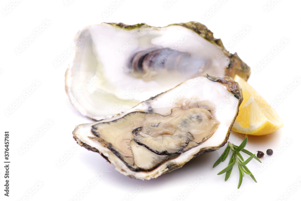 Oysters on a white background with lemon Oysters on a white background with lemon