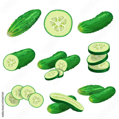 Cartoon cucumbers set. Whole cucumbers, half, flying slices and cucumbers group. Fresh farm vegetables collection. Vector illustrations isolated on white background.