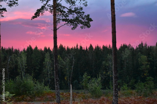 Wonderful sunset in western Sweden.