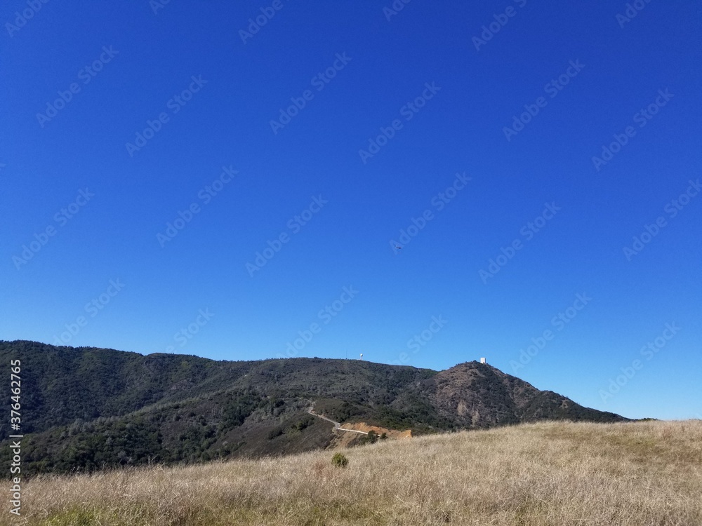 Forested Mountain blue sky