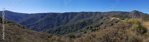 Forested Mountain blue sky