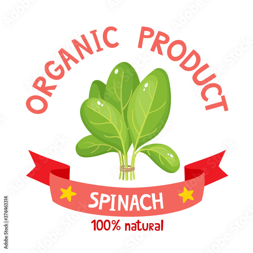 Healthy organic fresh spinach isolated on white background.