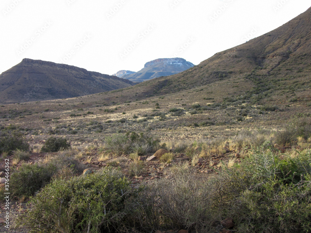 Fototapeta premium Karoo National Park South Africa