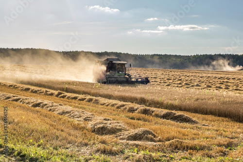 modern heavy harvester removes the ripe wheat bread in field. Seasonal agricultural work © hiv360