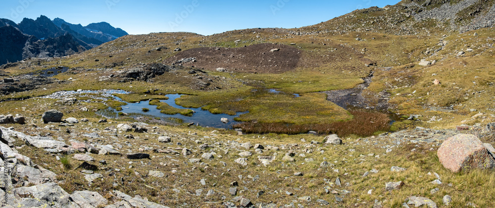 Panoramic view of a marsh in an alpine landscape.