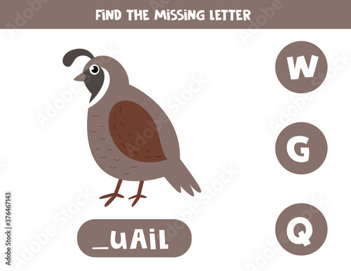 Find missing letter and write it down. Cute cartoon quail.