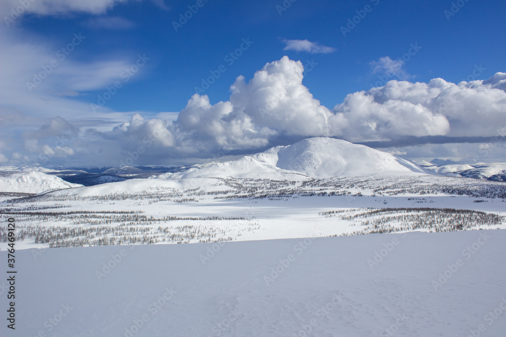 Mountains of the circumpolar Urals