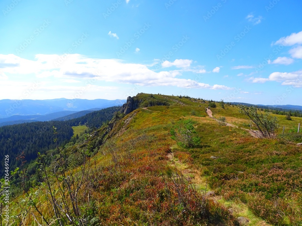 Europe, France, Grand Est, Alsace, Haut Rhin, Faing grass ridge trail