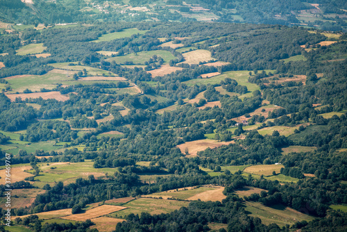 Distribution of land between agricultural and forest uses in the rural landscape