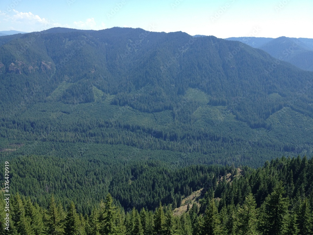 Fototapeta premium Forest mountain landscape blue sky