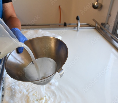 Cheesemaker pouring the natural rennet over the milk through a strainer. photo