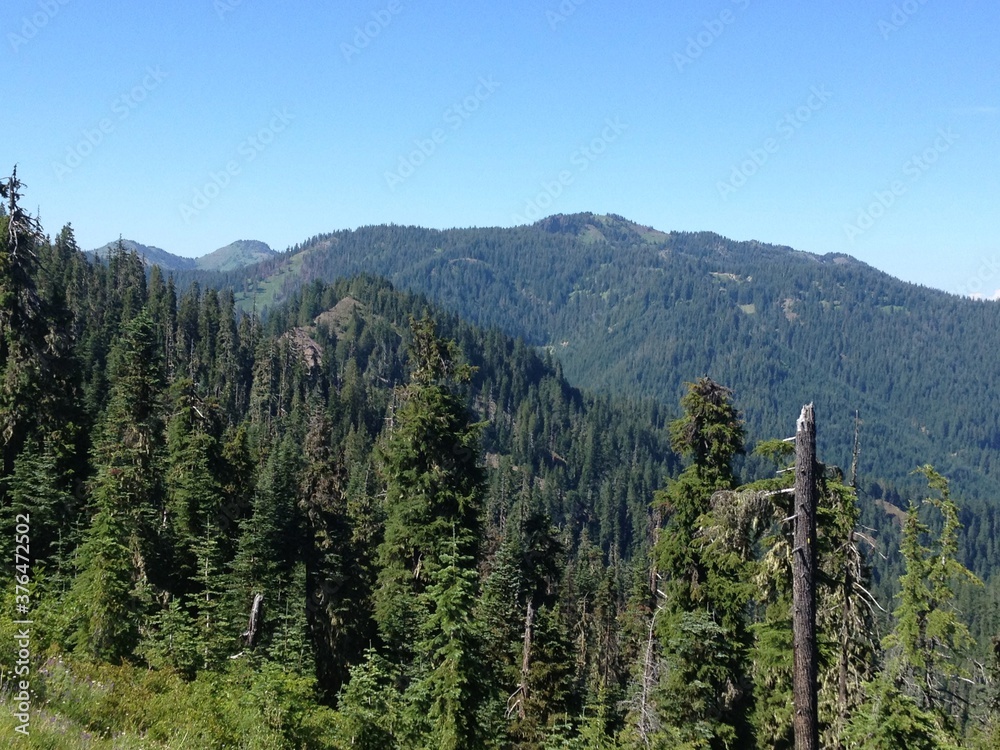 mountain range blue sky forest