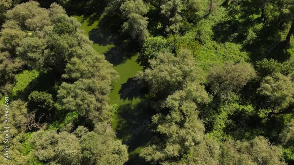 The Dniester Delta is a reed beds, canals and a floodplain forest. There is a rich animal world. Odessa region (Ukraine)
The Dniester Delta is a reed beds, canals and a floodplain forest. There is a rich animal world. Odessa region (Ukraine)