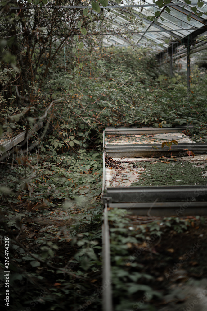 Old and moody architecture photography Old and moody architecture photography