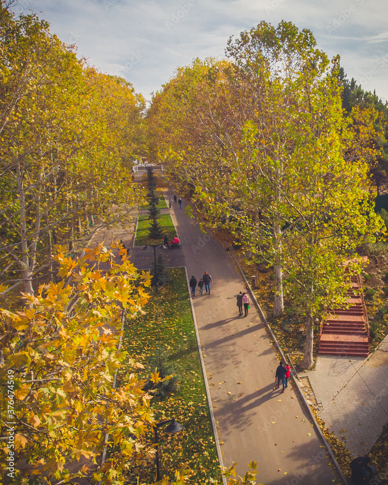 People walking in autumn park with golden leaves on sunny weather. Aerial view