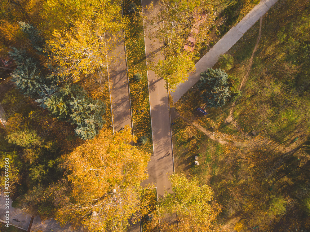 Beautiful afternoon in the autumnal park. Aerial view