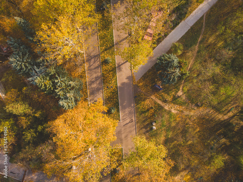 Beautiful afternoon in the autumnal park. Aerial view